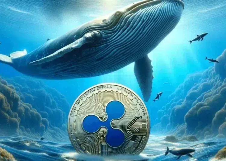 Whale Moves 21.8M XRP to Unknown Wallet: for Long-Term Hodling?