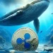 Whale Moves 21.8M XRP to Unknown Wallet: for Long-Term Hodling?