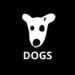 TON Network Back Online, Sparks DOGS to The Top Gainers List