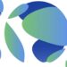 Terraform Labs’ Fate Hinges on Sept. 19 Bankruptcy Hearing