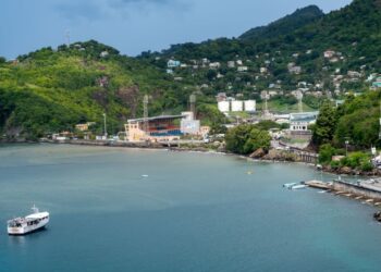 Justin Sun Offers to Host Musk vs. Maduro Fight in Grenada