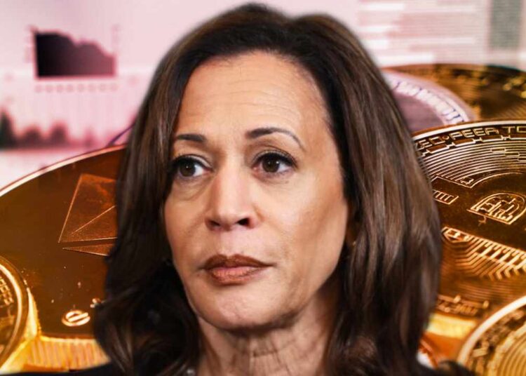 US Lawmaker Hosts Meeting to Help Kamala Harris Gain Crypto Industry Support