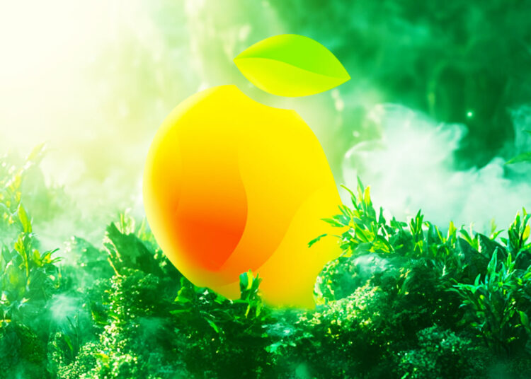 Solana-Based DeFi Platform Mango Markets Drafts Proposal for Settlement Conditions With SEC