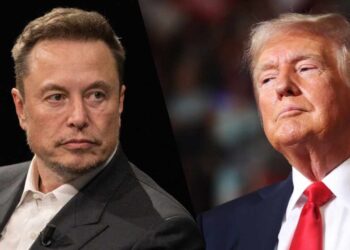 Elon Musk Offers to Assist Donald Trump Boost Government Efficiency