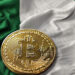 Nigerian SEC approves local crypto exchanges in push for digital asset regulation