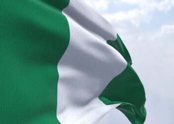 Group Urges Nigeria to End Naira Float, Reinstate Subsidies