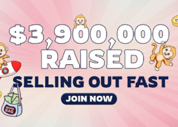 Unveiling MoonBag the Best Crypto Presale in August 2024