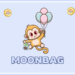 Bonk, PlayDoge, and MoonBag Cater to Niche Market Demands
