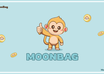 Curious About How Bonk’s Latest Rise, MPepe’s Meme Fusion, and MoonBag’s Strategic Presale Shape the Best Crypto Presale Platform?
