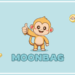 Curious About How Bonk’s Latest Rise, MPepe’s Meme Fusion, and MoonBag’s Strategic Presale Shape the Best Crypto Presale Platform?