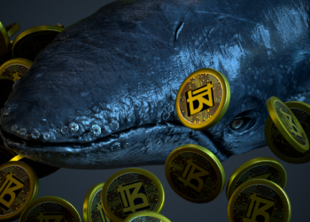 Bitnance Presales Top 2.25K Daily After SHIB & ETH Coin Traders Swarm In