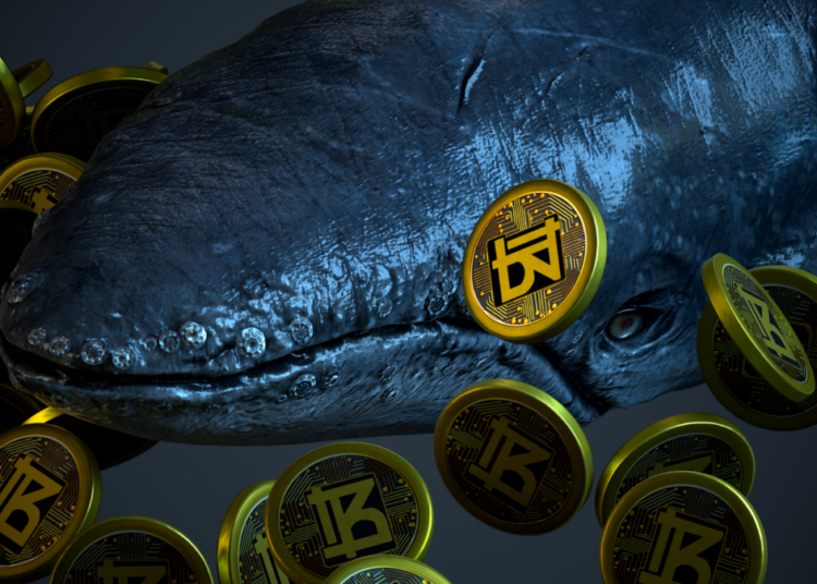 Bitnance Presales Top 2.25K Daily After SHIB & ETH Coin Traders Swarm In