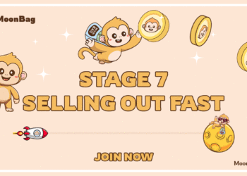 Pepe Coin Gains, Pawfury’s Growth, and MoonBag’s Presale: Discover the Best Crypto Presale to Buy Now