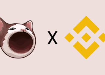 Popcat Price Up 35% After Binance Listing—If Rumors Are True, Could MoonBag Be Next?