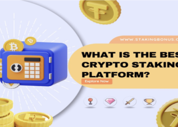 Staking vs. Yield Farming: Which Strategy is Suitable for You?