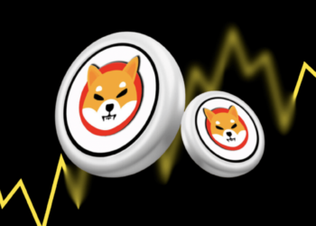 From College Dorm To Mansion: Student Who Turned $1,000 To Millions With Shiba Inu (SHIB) Picks Out Next Millionaire Maker