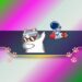 This Cat-Themed Meme Coin Marks New ATH as ‘Cat Season’ Knocks on the Door: Details