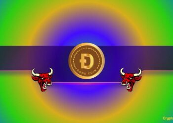 Is DOGE Gearing up for a Massive Rally?