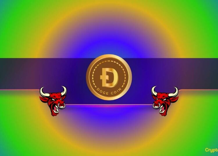 Is DOGE Gearing up for a Massive Rally?