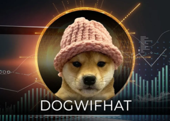 Dogwifhat (WIF) Leading the Top Gainers List Today, Skyrocket 13.12%