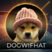 Dogwifhat (WIF) Leading the Top Gainers List Today, Skyrocket 13.12%