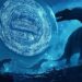 Economist Henrik Zeberg Says Solana-Based Altcoin Could Skyrocket by Nearly 1,000% in a ‘Matter of Weeks’