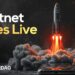 BlockDAG’s Testnet Launch Has Arrived, Here’s What You Need to Know– More on DOGS and Catizen Price Predictions
