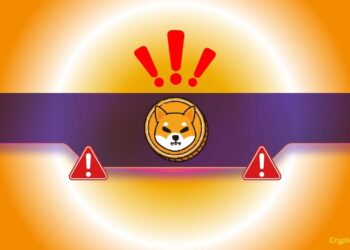 Shiba Inu Team Issues a Major Warning About This Dangerous Scam