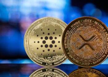 RCO Finance Records Massive Spike in Inflows Following Push from Ripple (XRP) and Cardano (ADA) Investors
