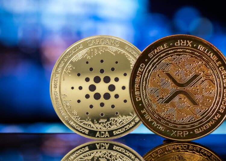 RCO Finance Records Massive Spike in Inflows Following Push from Ripple (XRP) and Cardano (ADA) Investors
