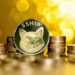 Is Shiba Inu Set for a 480% Price Rally? Here’s What’s Happening