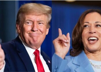 Political-Themed Tokens Surged 780% This Year, Outperforming Meme Coins 