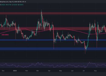 Ripple Price Analysis: What Are XRP’s Next Targets After Gaining 7% Daily?
