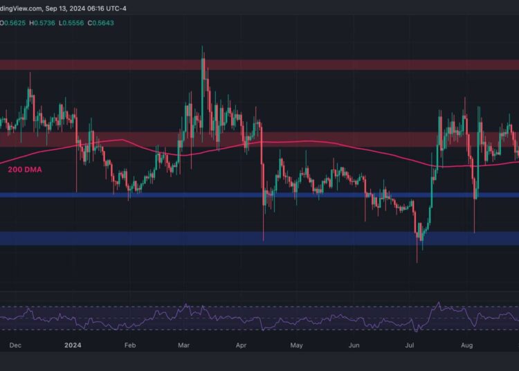 Ripple Price Analysis: What Are XRP’s Next Targets After Gaining 7% Daily?