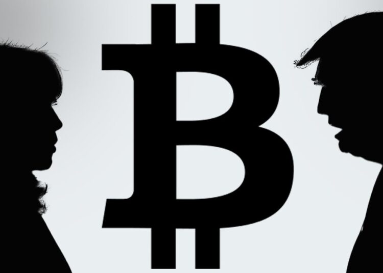 Trump-Harris Debate Expected to Drive Crypto Volatility, QCP Capital Says