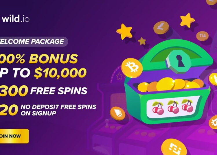 Join the Wild Casino Experience for Mega Wins