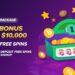 Join the Wild Casino Experience for Mega Wins
