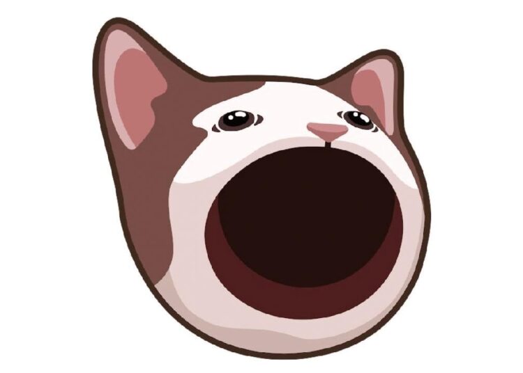 Crypto Analysts Say These are the Best Meme Coins to Buy for October: Popcat, Floki, Crypto All-Stars