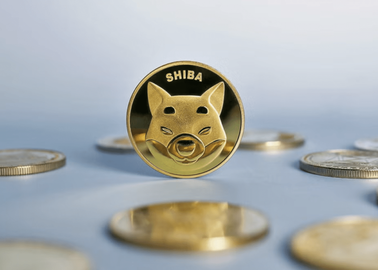 Massive SHIB Token Burn Sees 8,000% Surge in 24 Hours, What’s Next?