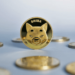 Massive SHIB Token Burn Sees 8,000% Surge in 24 Hours, What’s Next?