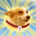 Major Moves Shake TRON’s Meme Coin Market
