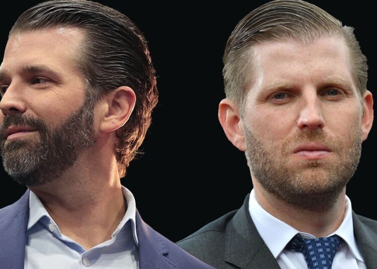 Spreading USD-Pegged Stablecoins—Trump-Backed Defi Project Reveals ‘Transformative’ Plans