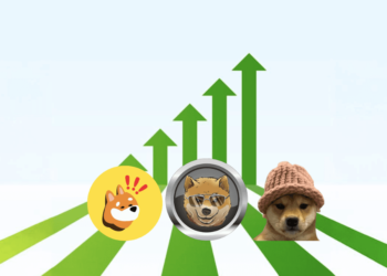 Solana Rises 7% Amid Support for Solana-Based Meme Coins – Dogen, WIF, and Bonk in the Spotlight
