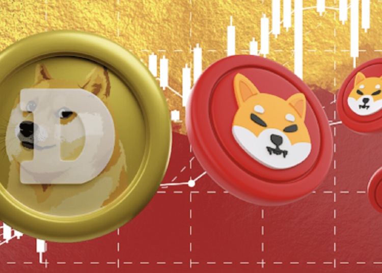 Don’t Buy Shiba Inu (SHIB) Or Dogecoin (DOGE), This Undervalued Ethereum Token Could Be The Key To Massive Wealth In 2024
