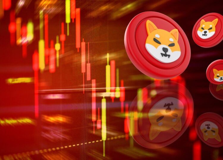 Shiba Inu Trader Says RCOF Will Skyrocket Like the Dogecoin Price in 2021, From $0.03 to $0.75 in 5 Months