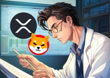This Altcoin, Priced Under $0.00025, Could 35x in 2025—Is It a Better Bet Than XRP and Shiba Inu?
