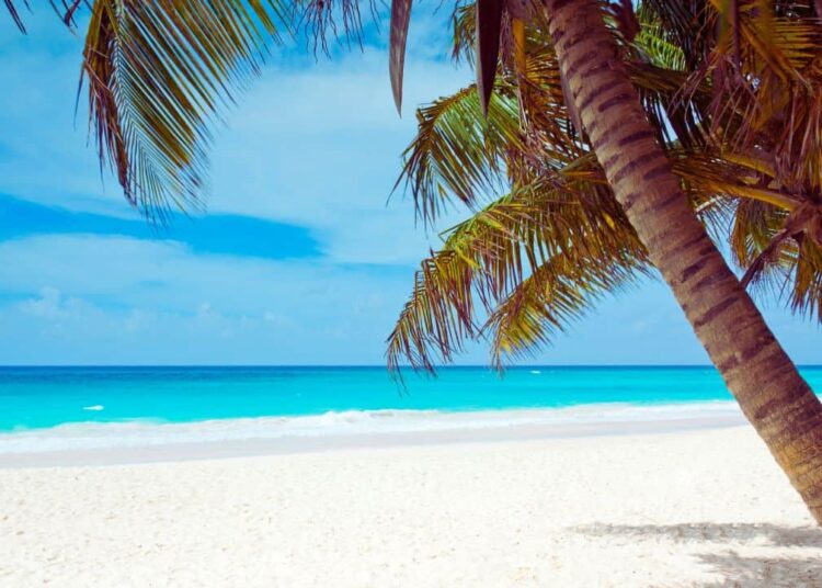 Caribbean’s Revival Mirrors the Growing Adoption in Argentina, Brazil, and Venezuela