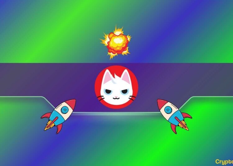 This Cat-Themed Meme Coin Hits New ATH With Its Market Cap Surpassing $1 Billion