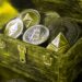 ‘One Last Shakeout’: Trader Says Bitcoin and Ethereum Could Crash Before Altseason Starts – Here Are His Targets