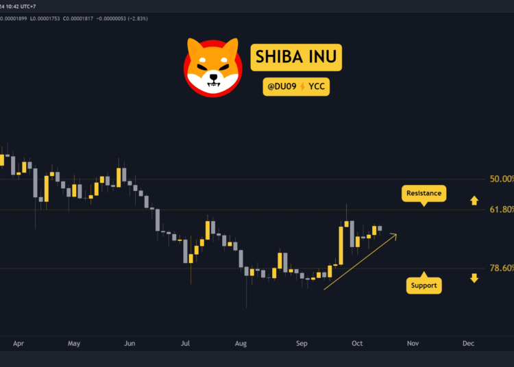 Shiba Inu (SHIB) Price Prediction for This Week